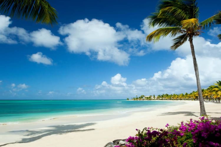 Jumby Bay Beach